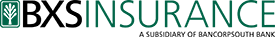 BSX Insurance logo 
