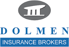 Dolmen Insurance Brokers logo.