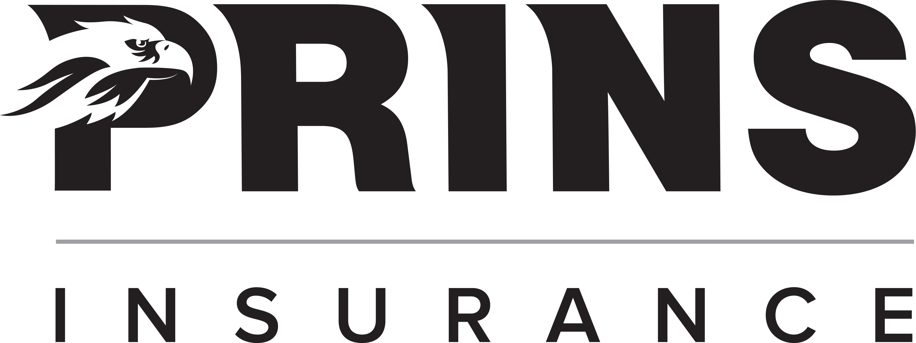 Prins Insurance, Inc. Logo
